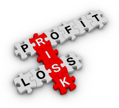 135367035 profit loss risk